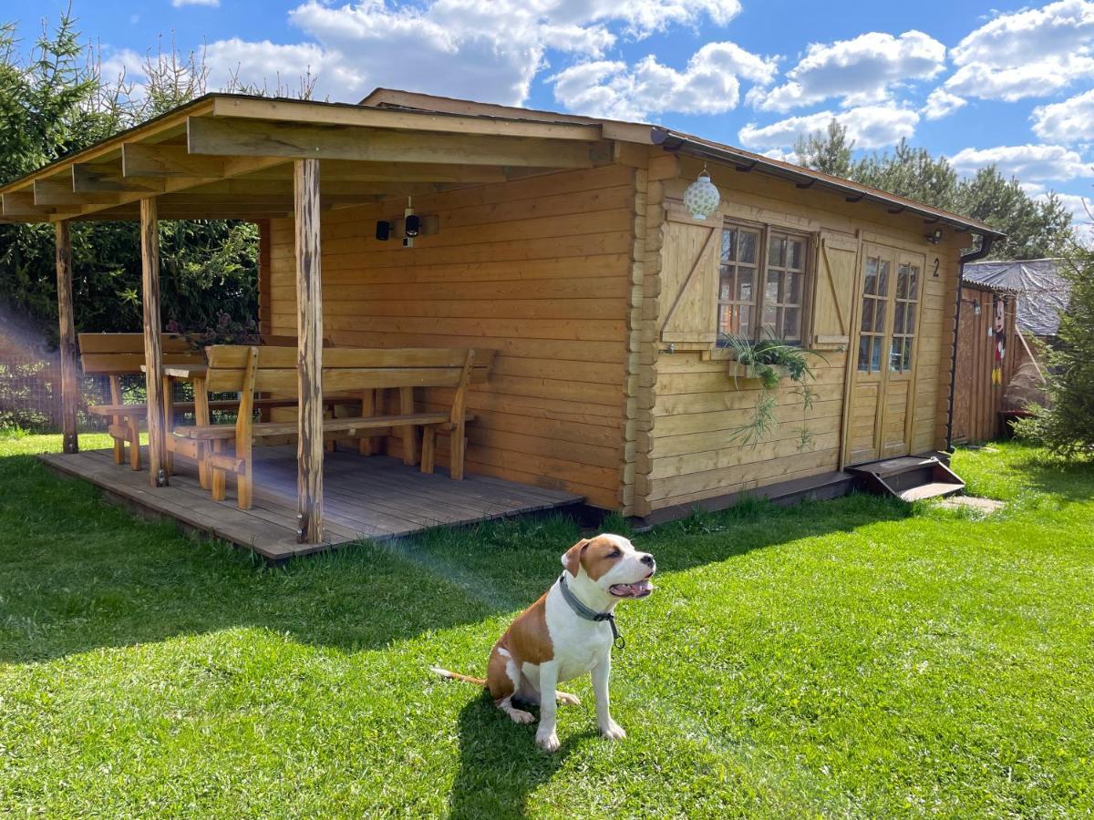 De Alvydo Anyksciuose Holiday home Anyksciai