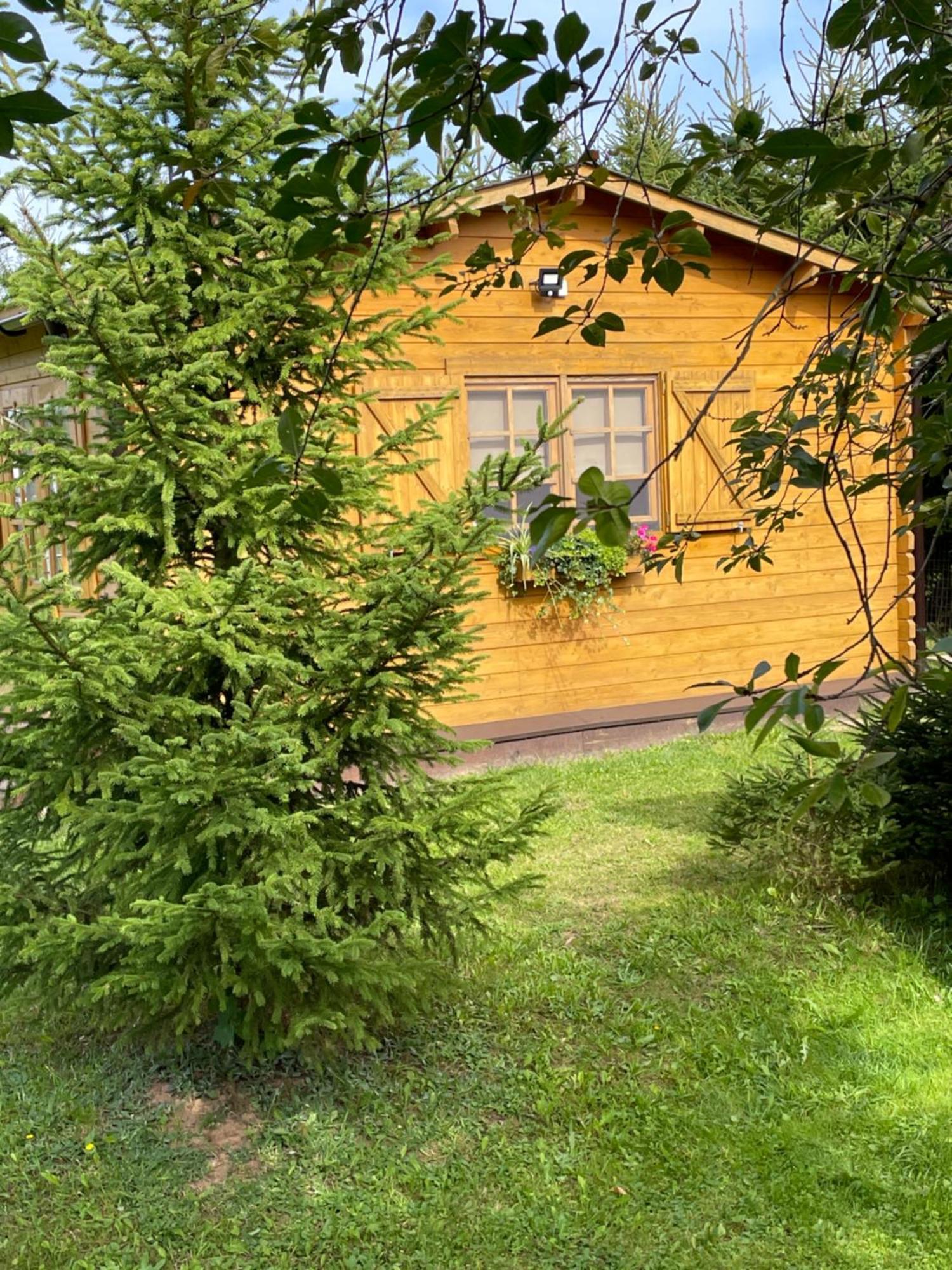 Holiday home De Alvydo Anyksciuose Anyksciai