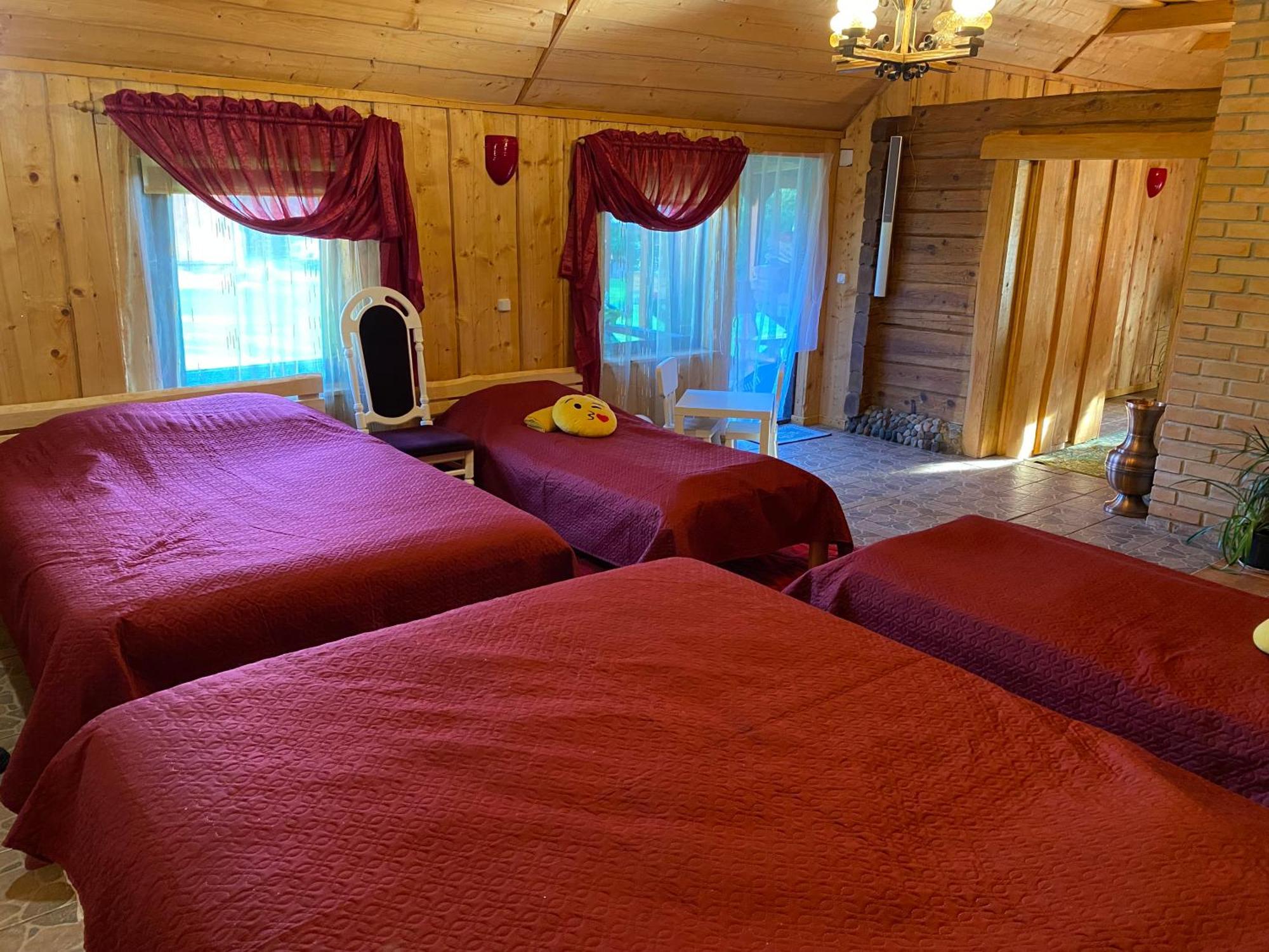 De Alvydo Anyksciuose Holiday home *